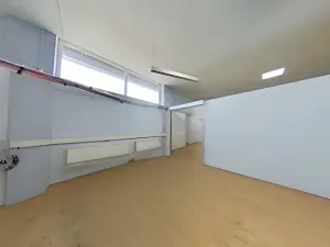 Pronájem obchodního prostoru, Jihlava, Dělnická, 860 m2