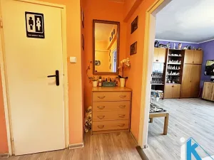 Prodej bytu 1+1, Prostějov, Raisova, 31 m2