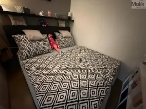 Prodej bytu 4+1, Karlovy Vary - Rybáře, Severní, 85 m2