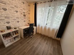 Prodej bytu 4+1, Karlovy Vary - Rybáře, Severní, 85 m2