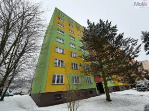 Prodej bytu 4+1, Karlovy Vary - Rybáře, Severní, 85 m2