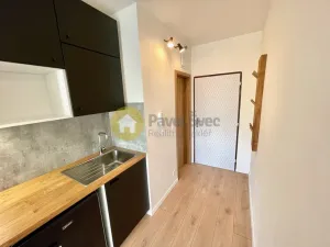 Pronájem bytu 1+kk, Strakonice - Přední Ptákovice, Šumavská, 24 m2