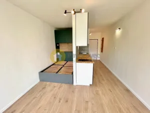 Pronájem bytu 1+kk, Strakonice - Přední Ptákovice, Šumavská, 24 m2