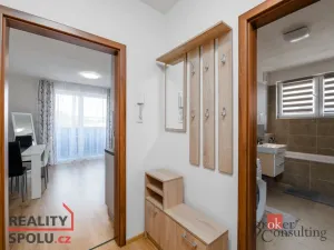 Pronájem bytu 1+kk, Heřmanova Huť - Vlkýš, U Pondu, 40 m2