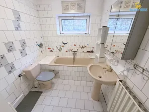 Prodej ubytování, Zlatníky-Hodkovice - Hodkovice, Slunečná, 300 m2