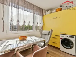 Pronájem bytu 3+1, Ústí nad Labem - Krásné Březno, U Pivovarské zahrady, 87 m2