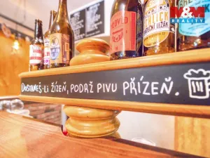 Pronájem obchodního prostoru, Plzeň - Jižní Předměstí, Americká, 102 m2