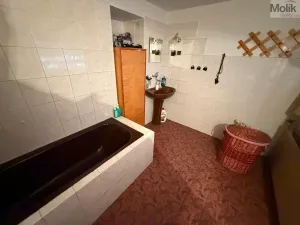 Prodej rodinného domu, Bělušice - Bedřichův Světec, 180 m2