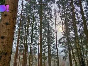 Prodej pozemku, Liptál, 17190 m2