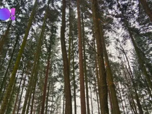 Prodej pozemku, Liptál, 17190 m2