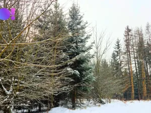 Prodej pozemku, Liptál, 17190 m2