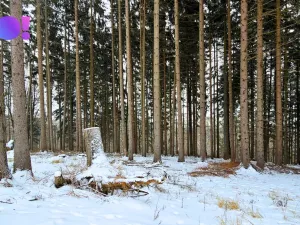 Prodej pozemku, Liptál, 17190 m2