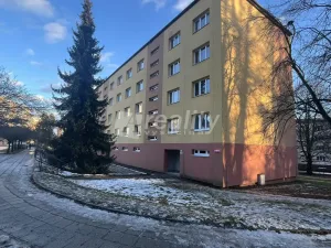 Pronájem bytu 2+1, Jihlava, U Hřbitova, 55 m2