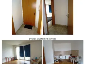 Dražba bytu 1+kk, Praha - Libeň, Davídkova, 36 m2