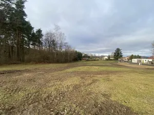 Prodej pozemku, Slavče - Dobrkovská Lhotka, 1007 m2