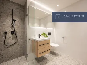 Pronájem bytu 1+kk, Brno, Cejl, 26 m2