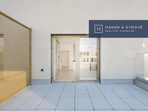 Pronájem bytu 1+kk, Brno, Cejl, 32 m2