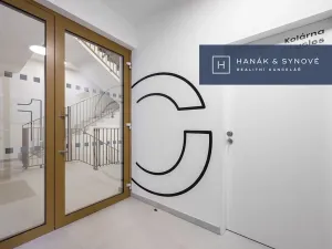 Pronájem bytu 1+kk, Brno, Cejl, 32 m2