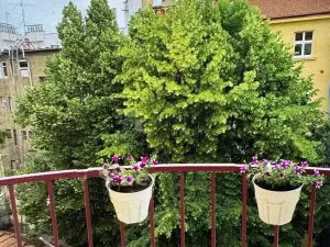 Pronájem bytu 2+kk, Praha, náměstí Dr. Václava Holého, 44 m2