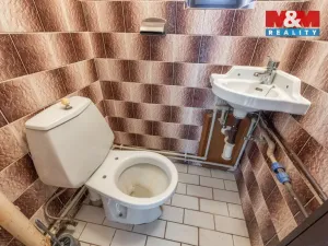 Prodej chalupy, Přerubenice, 167 m2