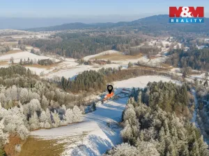 Prodej ubytování, Benešov nad Černou - Děkanské Skaliny, 217 m2