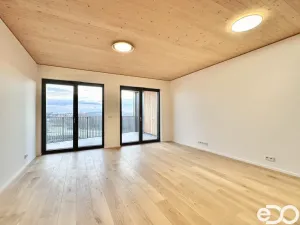 Pronájem bytu 1+kk, Praha, Ujgurská, 41 m2