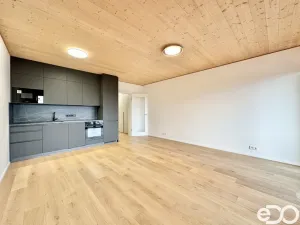 Pronájem bytu 1+kk, Praha, Ujgurská, 41 m2