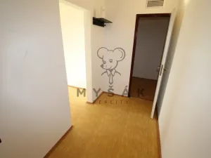 Prodej bytu 1+1, České Budějovice - České Budějovice 4, Rudolfovská tř., 46 m2