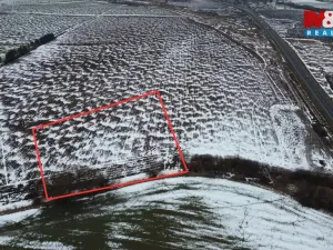 Prodej pole, Přišimasy, 7366 m2