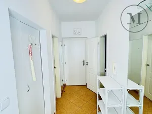 Pronájem bytu 1+1, České Budějovice, Riegrova, 55 m2