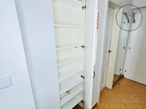 Pronájem bytu 1+1, České Budějovice, Riegrova, 55 m2