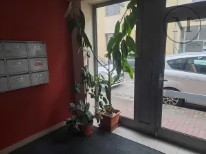 Pronájem bytu 1+1, České Budějovice, Riegrova, 55 m2