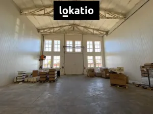 Pronájem skladu, Olomouc, 1300 m2