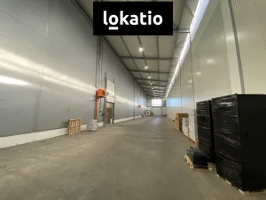 Pronájem skladu, Olomouc, 2400 m2