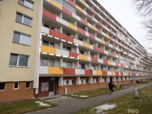 Pronájem bytu 1+1, Olomouc - Nová Ulice, I. P. Pavlova, 31 m2