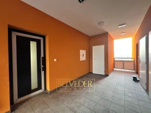 Prodej bytu 4+kk, Teplice, Albrechtova, 120 m2