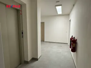 Pronájem bytu 2+kk, Kladno, Čermákova, 40 m2