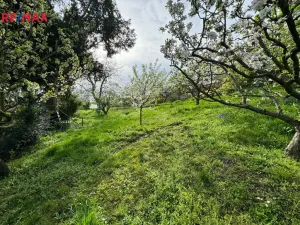 Pronájem rodinného domu, Olomouc - Droždín, Jesenická, 80 m2