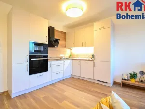 Pronájem bytu 1+kk, Český Brod, Klučovská, 33 m2