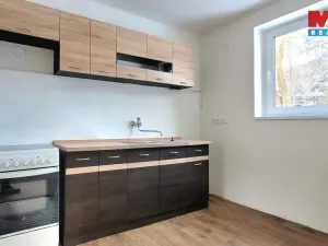 Pronájem bytu 3+1, Frýdštejn - Bezděčín, 65 m2