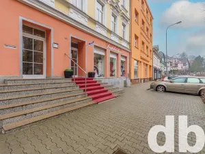 Pronájem bytu 2+1, Karlovy Vary, Vítězná, 54 m2