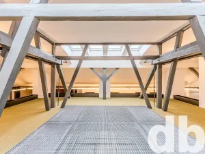 Pronájem kanceláře, Cheb, 26. dubna, 260 m2