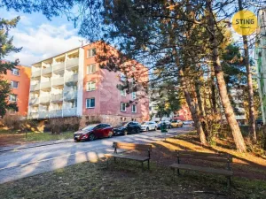 Prodej bytu 1+1, Brno, Foerstrova, 42 m2