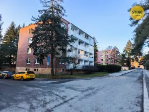 Prodej bytu 1+1, Brno, Foerstrova, 42 m2