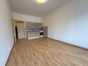 Pronájem bytu 1+kk, Praha - Nusle, V Horkách, 35 m2