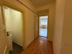 Pronájem bytu 1+kk, Praha - Nusle, V Horkách, 35 m2