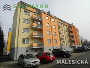 Pronájem bytu 2+1, Plzeň, Malesická, 50 m2