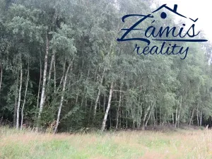 Prodej lesa, Pohledy, 7200 m2