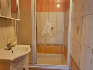 Pronájem bytu 1+1, České Budějovice, Dubenská, 32 m2