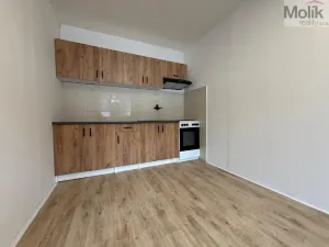Pronájem bytu 3+1, Most, Josefa Suka, 68 m2